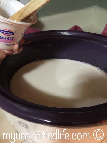 yogurt step 2