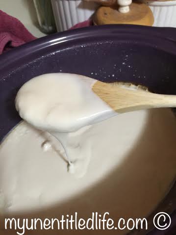 yogurt in the slow cooker recipe 