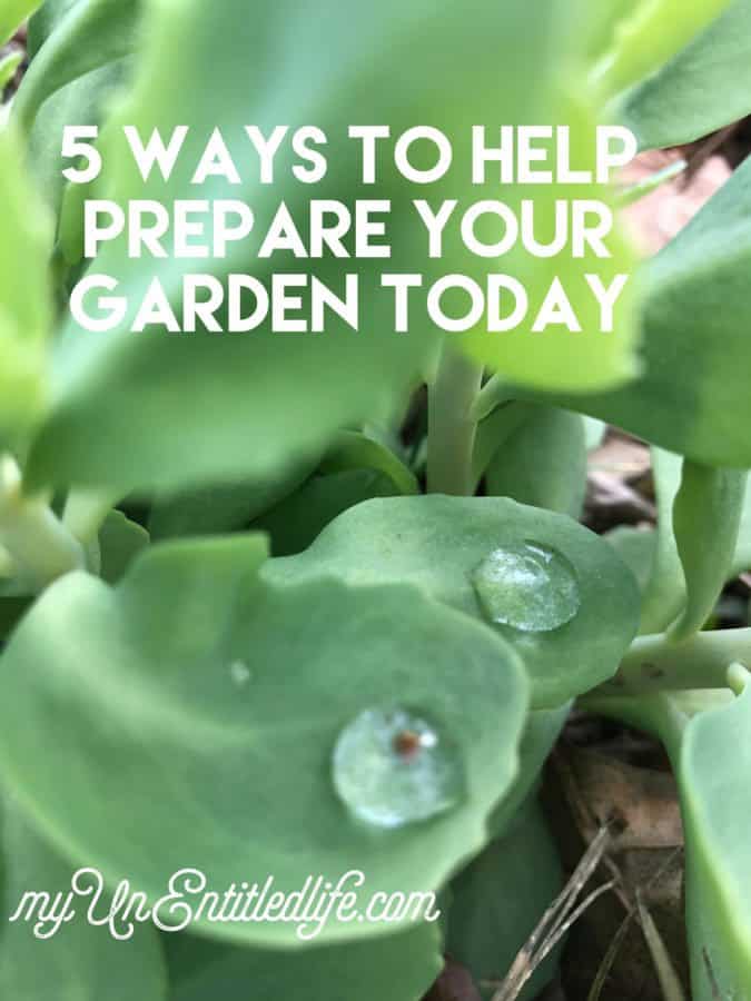 5 ways to prepare your garden today