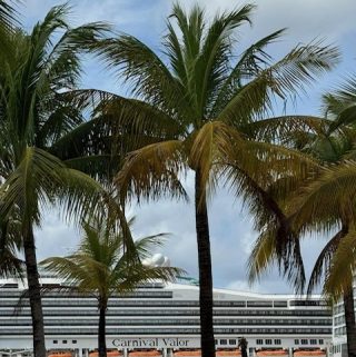 cruise ship behind palm trees